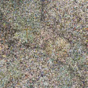 acari e biodiversità