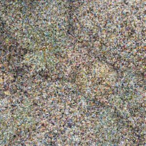 acari e biodiversità