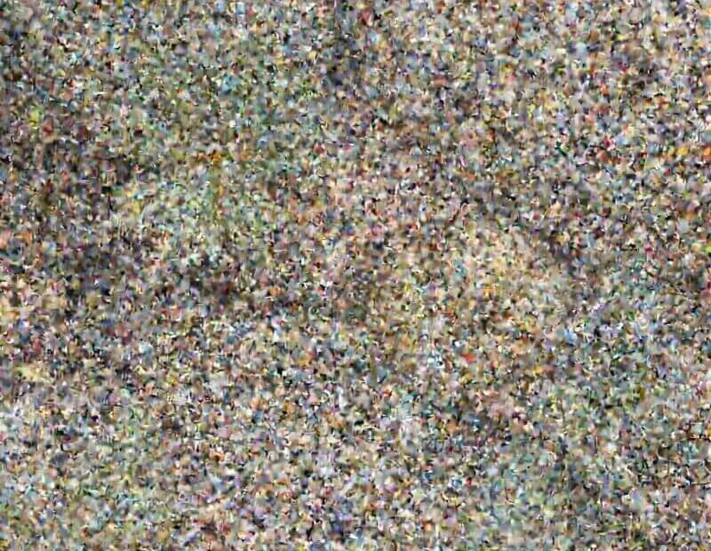 acari e biodiversità