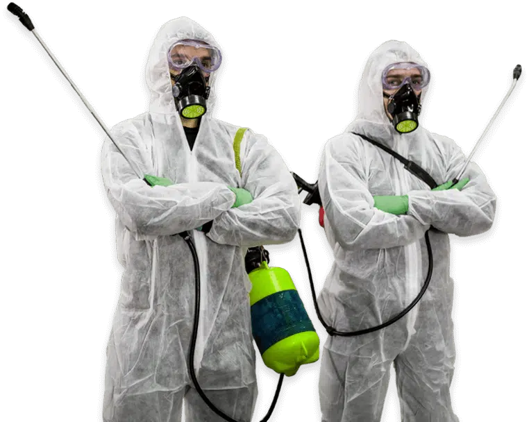 disinfestatori con tuta bianca protettiva, maschera e attrezzatura professionale