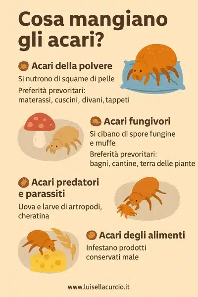 infografica su cosa mangiano gli acari