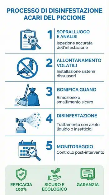 infografica disinfestazione contro acari dei piccioni