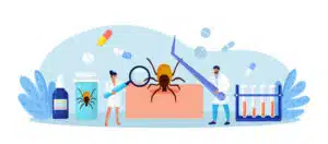 rimedi contro le allergia provocate dagli acari