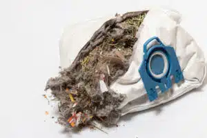rischio allergia agli acari foto